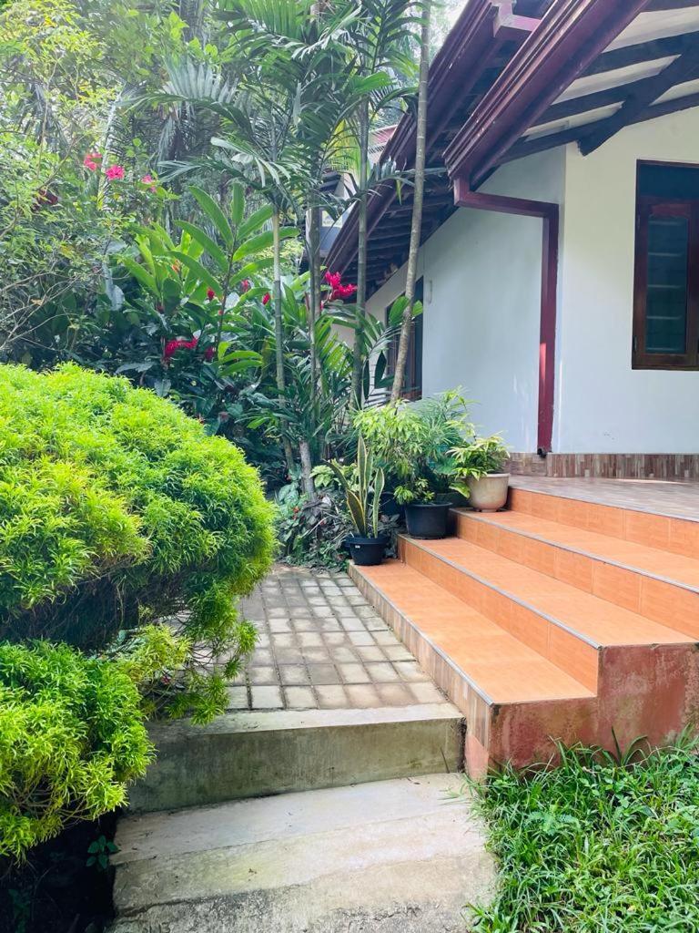 Chami'S Home Stay Mirissa Zewnętrze zdjęcie