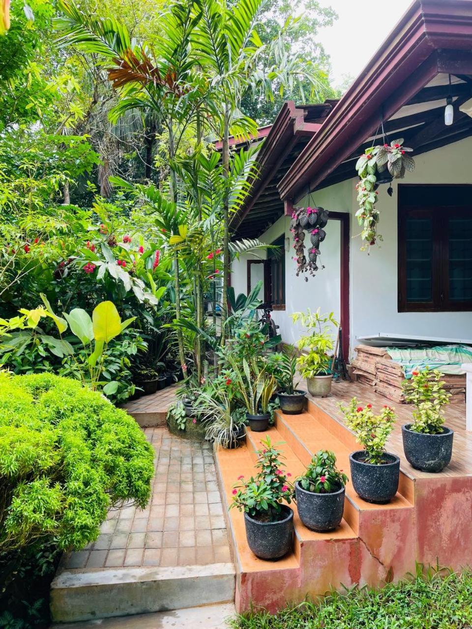 Chami'S Home Stay Mirissa Zewnętrze zdjęcie
